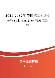 2025-2031年中國稀土Y型分子篩行業(yè)全面調(diào)研與發(fā)展趨勢