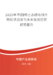 2025年中國稀土永磁電機(jī)市場現(xiàn)狀調(diào)查與未來發(fā)展前景趨勢報(bào)告
