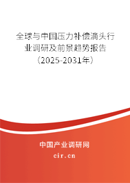 全球與中國(guó)壓力補(bǔ)償?shù)晤^行業(yè)調(diào)研及前景趨勢(shì)報(bào)告（2025-2031年）