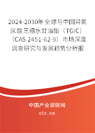 2024-2030年全球與中國異氰尿酸三縮水甘油酯（TGIC） （CAS 2451-62-9）市場(chǎng)深度調(diào)查研究與發(fā)展趨勢(shì)分析報(bào)告