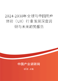 2024-2030年全球與中國用戶體驗（UX）行業(yè)發(fā)展深度調(diào)研與未來趨勢報告