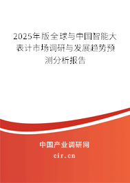 2025年版全球與中國(guó)智能大表計(jì)市場(chǎng)調(diào)研與發(fā)展趨勢(shì)預(yù)測(cè)分析報(bào)告