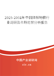 2025-2031年中國降解地模行業(yè)調(diào)研及市場前景分析報(bào)告