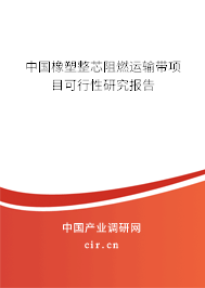中國橡塑整芯阻燃運(yùn)輸帶項(xiàng)目可行性研究報(bào)告