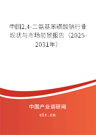 中國2,4-二氨基苯磺酸鈉行業(yè)現(xiàn)狀與市場前景報(bào)告（2025-2031年）
