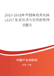 2024-2030年中國車載充電器LED燈發(fā)展現(xiàn)狀與前景趨勢預(yù)測報告