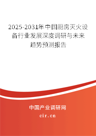 2025-2031年中國(guó)廚房滅火設(shè)備行業(yè)發(fā)展深度調(diào)研與未來(lái)趨勢(shì)預(yù)測(cè)報(bào)告
