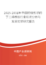 2025-2031年中國初級形狀的丁二烯橡膠行業(yè)現(xiàn)狀分析與發(fā)展前景研究報告