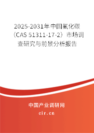 2025-2031年中國氟化碳（CAS 51311-17-2）市場(chǎng)調(diào)查研究與前景分析報(bào)告