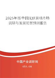 2025年版中國(guó)光伏裝機(jī)市場(chǎng)調(diào)研與發(fā)展前景預(yù)測(cè)報(bào)告