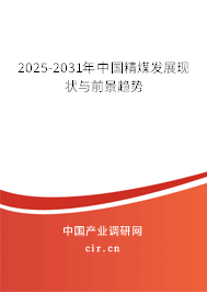 2025-2031年中國精煤發(fā)展現(xiàn)狀與前景趨勢