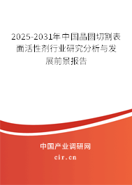 2025-2031年中國(guó)晶圓切割表面活性劑行業(yè)研究分析與發(fā)展前景報(bào)告