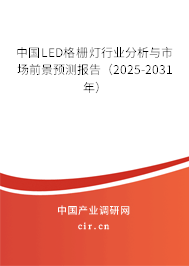 中國(guó)LED格柵燈行業(yè)分析與市場(chǎng)前景預(yù)測(cè)報(bào)告（2025-2031年）