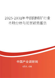 2025-2031年中國鋰精礦行業(yè)市場分析與前景趨勢報告