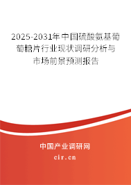 2025-2031年中國硫酸氨基葡萄糖片行業(yè)現(xiàn)狀調(diào)研分析與市場前景預(yù)測報(bào)告