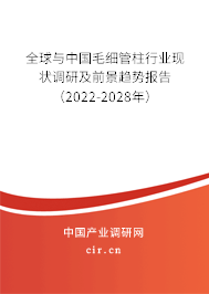 全球與中國(guó)毛細(xì)管柱行業(yè)現(xiàn)狀調(diào)研及前景趨勢(shì)報(bào)告（2022-2028年）