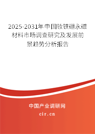 2024-2030年中國(guó)釹鐵硼永磁材料市場(chǎng)調(diào)查研究及發(fā)展前景趨勢(shì)分析報(bào)告