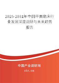 2025-2031年中國(guó)平面磨床行業(yè)發(fā)展深度調(diào)研與未來趨勢(shì)報(bào)告