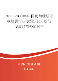 2025-2031年中國葡萄糖酸亞鐵膠囊行業(yè)專題研究分析與發(fā)展趨勢(shì)預(yù)測(cè)報(bào)告