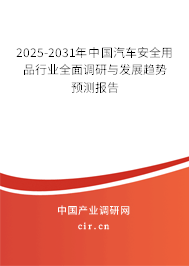 2025-2031年中國(guó)汽車安全用品行業(yè)全面調(diào)研與發(fā)展趨勢(shì)預(yù)測(cè)報(bào)告