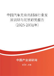 中國汽車無骨雨刮器行業(yè)發(fā)展調(diào)研與前景趨勢報告（2025-2031年）