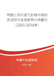 中國(guó)上海市廢氣處理市場(chǎng)現(xiàn)狀調(diào)研與發(fā)展趨勢(shì)分析報(bào)告（2025-2031年）