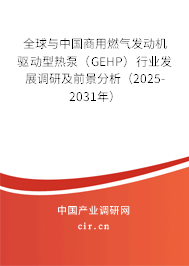全球與中國商用燃氣發(fā)動機驅動型熱泵（GEHP）行業(yè)發(fā)展調研及前景分析（2025-2031年）