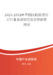2025-2031年中國太陽能感應(yīng)燈行業(yè)發(fā)展研究及前景趨勢預測