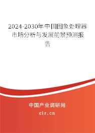 2024-2030年中國圖象處理器市場分析與發(fā)展前景預(yù)測報(bào)告