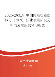 2025-2031年中國網(wǎng)絡功能虛擬化（NFV）行業(yè)發(fā)展研究分析與發(fā)展趨勢預測報告