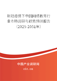 新冠疫情下中國網(wǎng)絡(luò)教育行業(yè)市場調(diào)研與趨勢預(yù)測報(bào)告（2024-2030年）