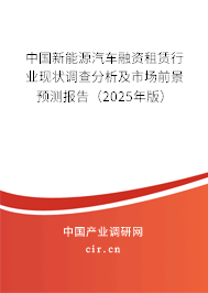中國新能源汽車融資租賃行業(yè)現(xiàn)狀調(diào)查分析及市場前景預測報告（2025年版）