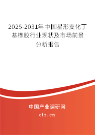 2025-2031年中國星形支化丁基橡膠行業(yè)現(xiàn)狀及市場前景分析報告