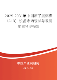 2025-2031年中國原子層沉積（ALD）設備市場現狀與發(fā)展前景預測報告