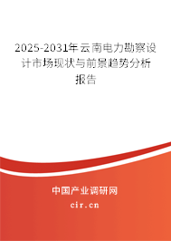 2025-2031年云南電力勘察設(shè)計市場現(xiàn)狀與前景趨勢分析報告