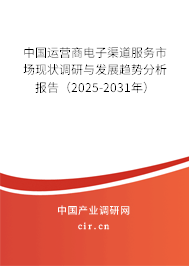 中國運營商電子渠道服務市場現(xiàn)狀調(diào)研與發(fā)展趨勢分析報告（2025-2031年）