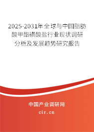 2025-2031年全球與中國脂肪酸甲酯磺酸鹽行業(yè)現(xiàn)狀調(diào)研分析及發(fā)展趨勢研究報告