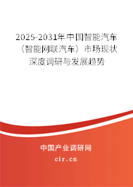 2025-2031年中國(guó)智能汽車（智能網(wǎng)聯(lián)汽車）市場(chǎng)現(xiàn)狀深度調(diào)研與發(fā)展趨勢(shì)