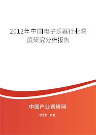 2012年中國電子樂器行業(yè)深度研究分析報告