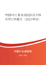中國PA行業(yè)發(fā)展回顧及市場前景分析報告（2023年版）