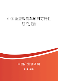 中國(guó)重型載貨車(chē)項(xiàng)目可行性研究報(bào)告