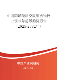 中國丙烯酸酯交聯(lián)聚合物行業(yè)現(xiàn)狀與前景趨勢報告（2024-2030年）