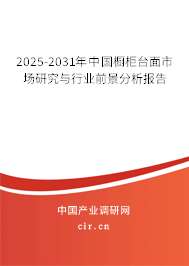 2025-2031年中國櫥柜臺面市場研究與行業(yè)前景分析報告