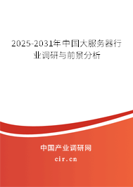2025-2031年中國(guó)大服務(wù)器行業(yè)調(diào)研與前景分析