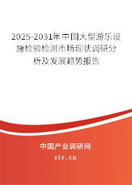 2025-2031年中國大型游樂設(shè)施檢驗檢測市場現(xiàn)狀調(diào)研分析及發(fā)展趨勢報告