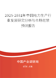 2025-2031年中國電力生產行業(yè)發(fā)展研究分析與市場前景預測報告