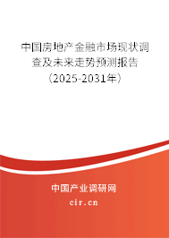 中國房地產(chǎn)金融市場(chǎng)現(xiàn)狀調(diào)查及未來走勢(shì)預(yù)測(cè)報(bào)告（2025-2031年）