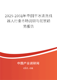 2025-2031年中國干冰清洗機(jī)器人行業(yè)市場(chǎng)調(diào)研與前景趨勢(shì)報(bào)告