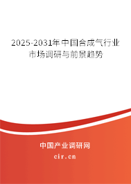 2025-2031年中國(guó)合成氣行業(yè)市場(chǎng)調(diào)研與前景趨勢(shì)