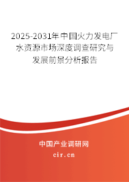 2025-2031年中國(guó)火力發(fā)電廠水資源市場(chǎng)深度調(diào)查研究與發(fā)展前景分析報(bào)告
